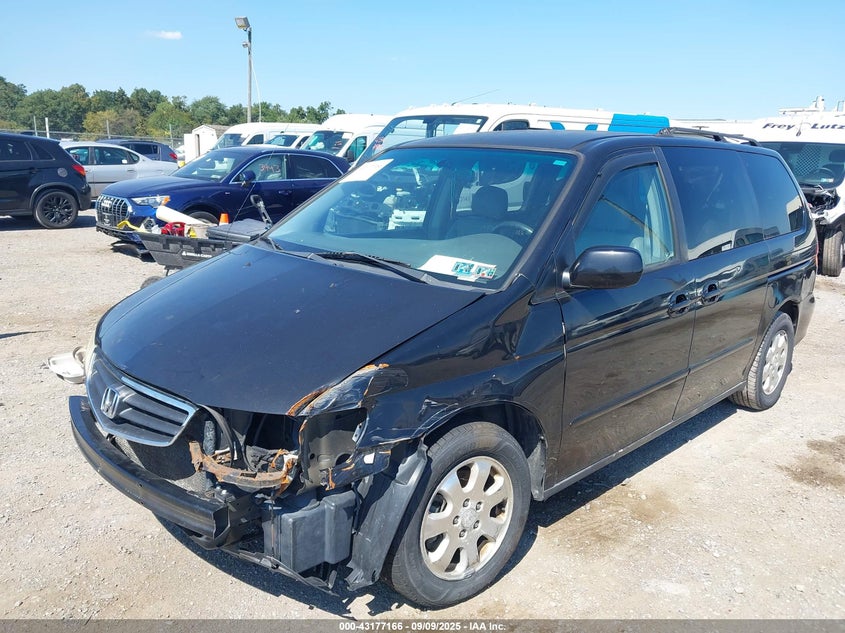 2004 Honda Odyssey Ex-L VIN: 5FNRL18984B087385 Lot: 43177166