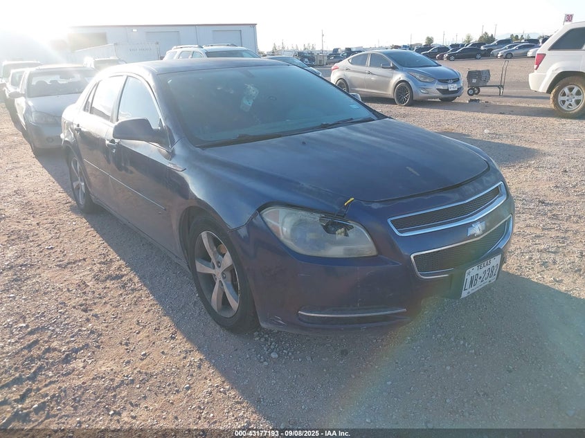 CHEVROLET MALIBU 1LT
