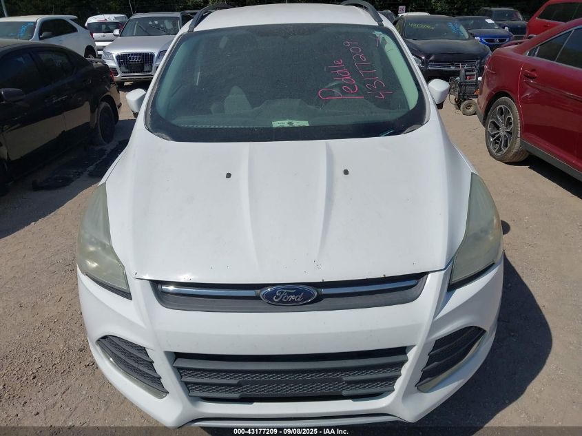 2014 Ford Escape Se VIN: 1FMCU0GX7EUA86004 Lot: 43177209