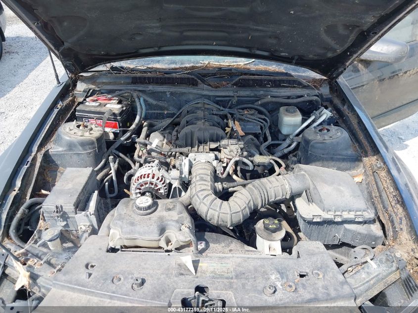 2007 Ford Mustang V6 Deluxe/V6 Premium VIN: 1ZVFT80N175311720 Lot: 43177359