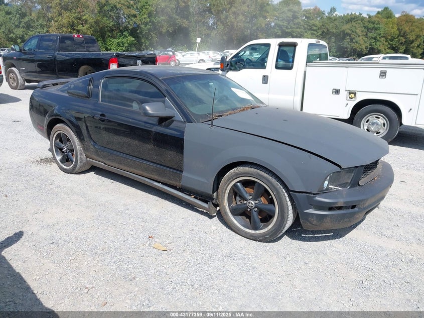 1ZVFT80N175311720 2007 Ford Mustang V6 Deluxe/V6 Premium auction photo 1