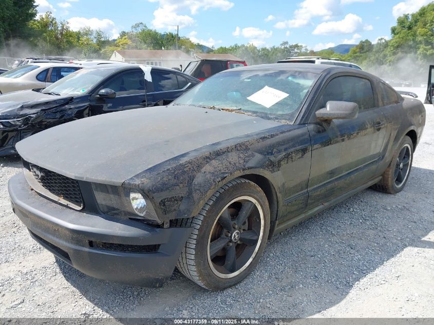 2007 Ford Mustang V6 Deluxe/V6 Premium VIN: 1ZVFT80N175311720 Lot: 43177359