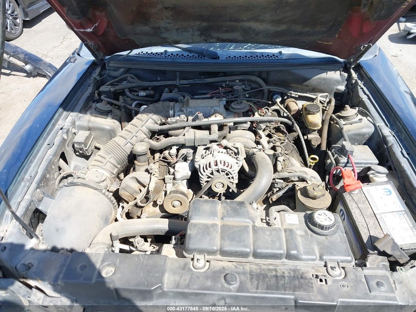 2004 Ford Mustang Gt VIN: 1FAFP42X64F131417 Lot: 43177845