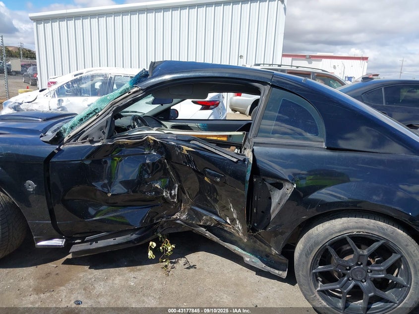 2004 Ford Mustang Gt VIN: 1FAFP42X64F131417 Lot: 43177845