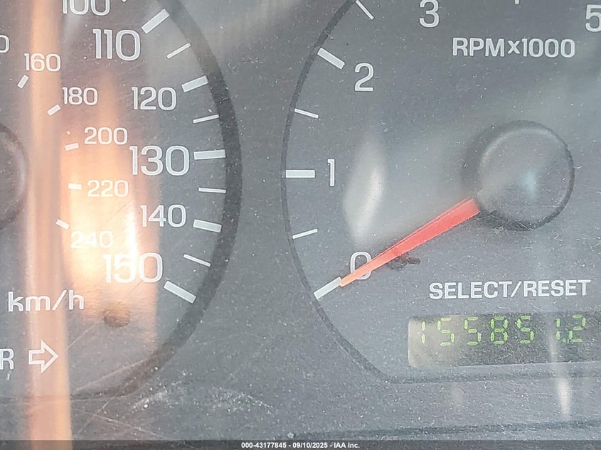 2004 Ford Mustang Gt VIN: 1FAFP42X64F131417 Lot: 43177845