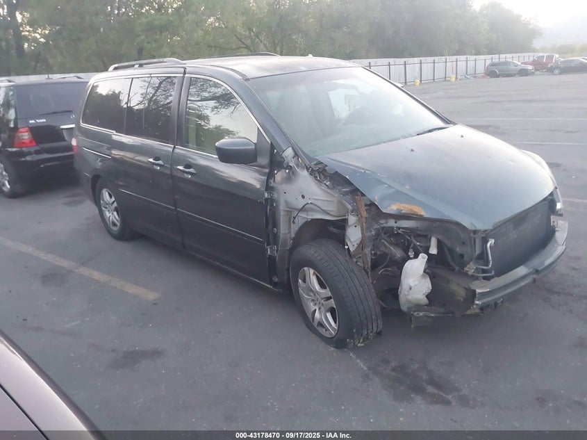 5FNRL38415B400696 2005 Honda Odyssey Ex auction photo 1