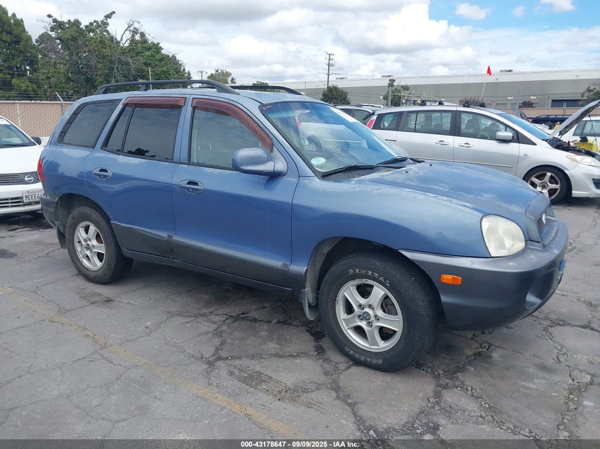 KM8SC73D33U440830 2003 Hyundai Santa Fe Gls/Lx auction photo 1