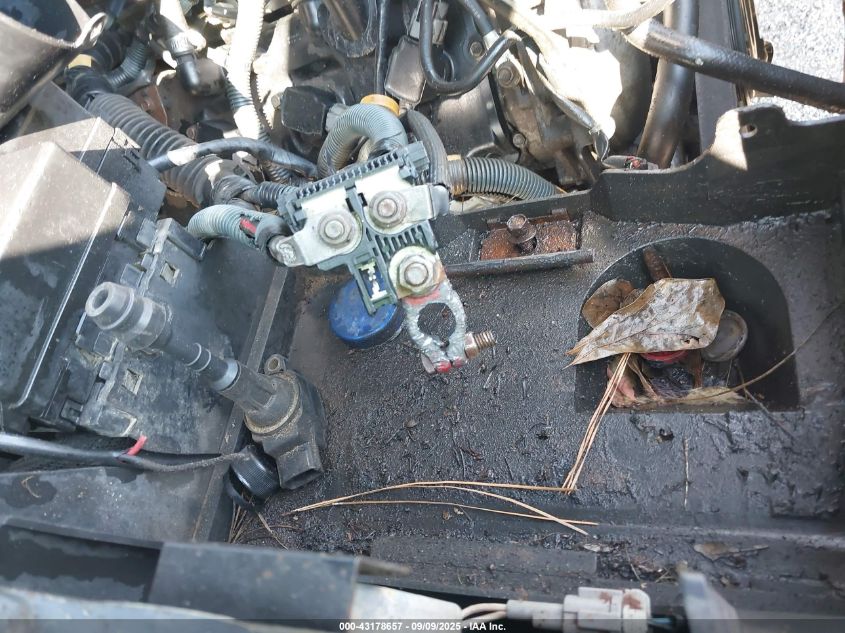 2006 Nissan Titan Xe VIN: 1N6BA06A36N555250 Lot: 43178657