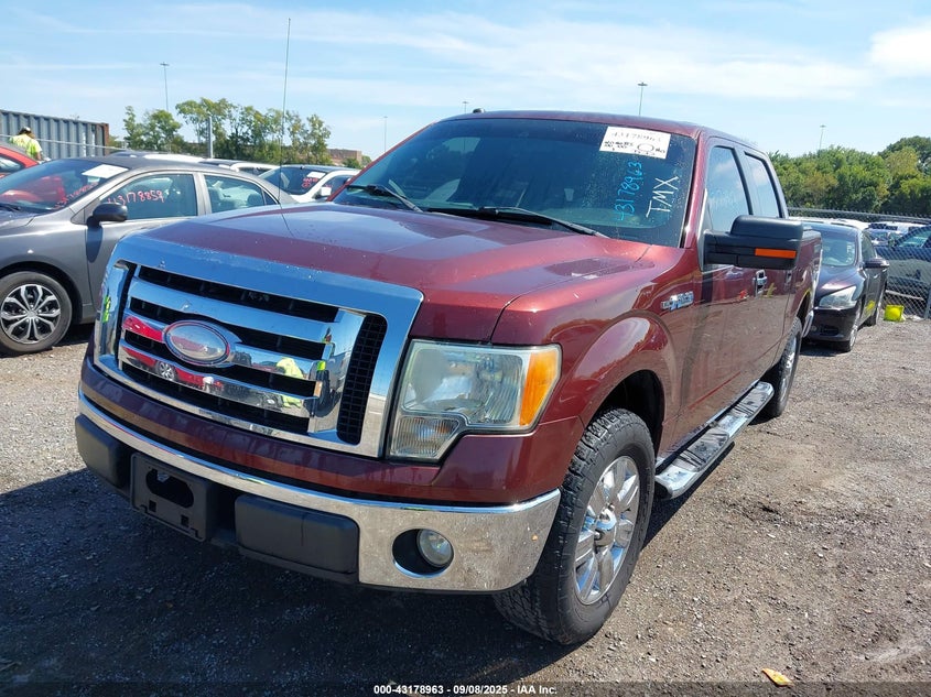 2009 Ford F-150 Xl/Xlt VIN: 1FTRW12829FA90339 Lot: 43178963