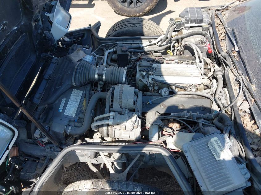 1996 Chevrolet Corvette VIN: 1G1YY32P8T5114447 Lot: 43179270