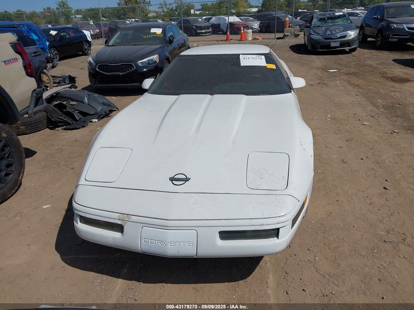 1996 Chevrolet Corvette VIN: 1G1YY32P8T5114447 Lot: 43179270