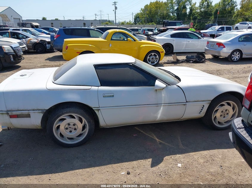 1996 Chevrolet Corvette VIN: 1G1YY32P8T5114447 Lot: 43179270