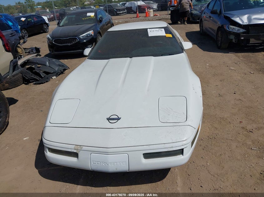 1996 Chevrolet Corvette VIN: 1G1YY32P8T5114447 Lot: 43179270