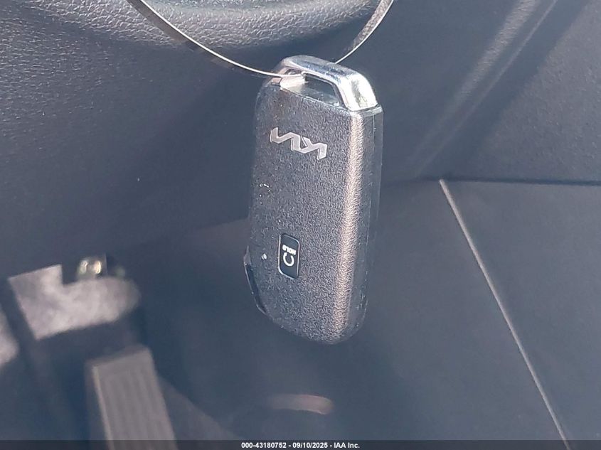 2023 Kia Sportage X Line VIN: 5XYK6CAF3PG027872 Lot: 43180752