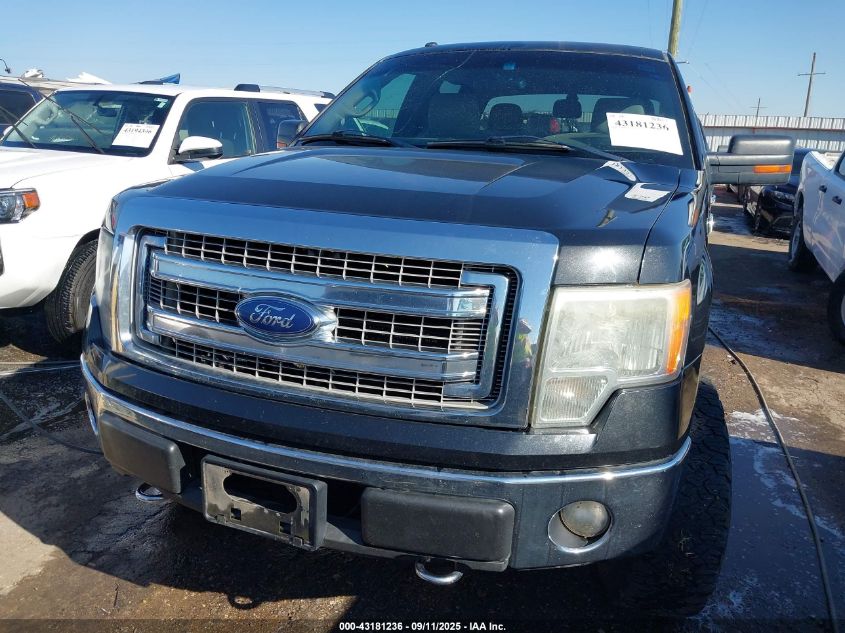 2013 Ford F-150 Xlt VIN: 1FTFW1EF2DFC51438 Lot: 43181236