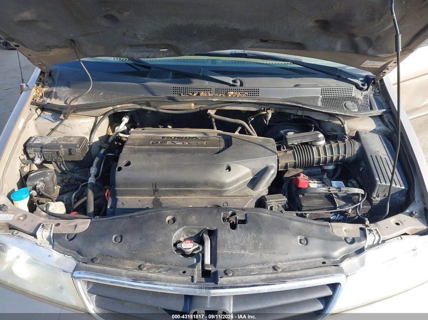 2003 Honda Odyssey Ex-L VIN: 5FNRL18773B043343 Lot: 43181817