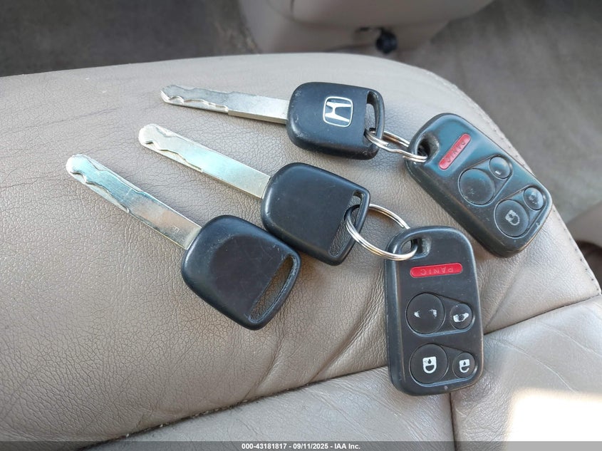 2003 Honda Odyssey Ex-L VIN: 5FNRL18773B043343 Lot: 43181817