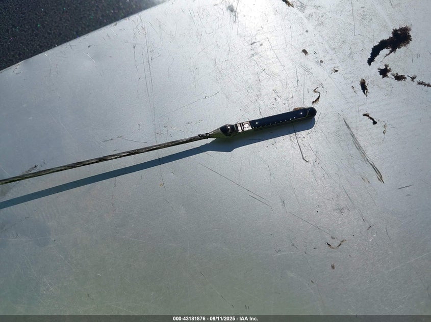 2019 Ford F-150 Platinum VIN: 1FTFW1E10KFB03516 Lot: 43181876