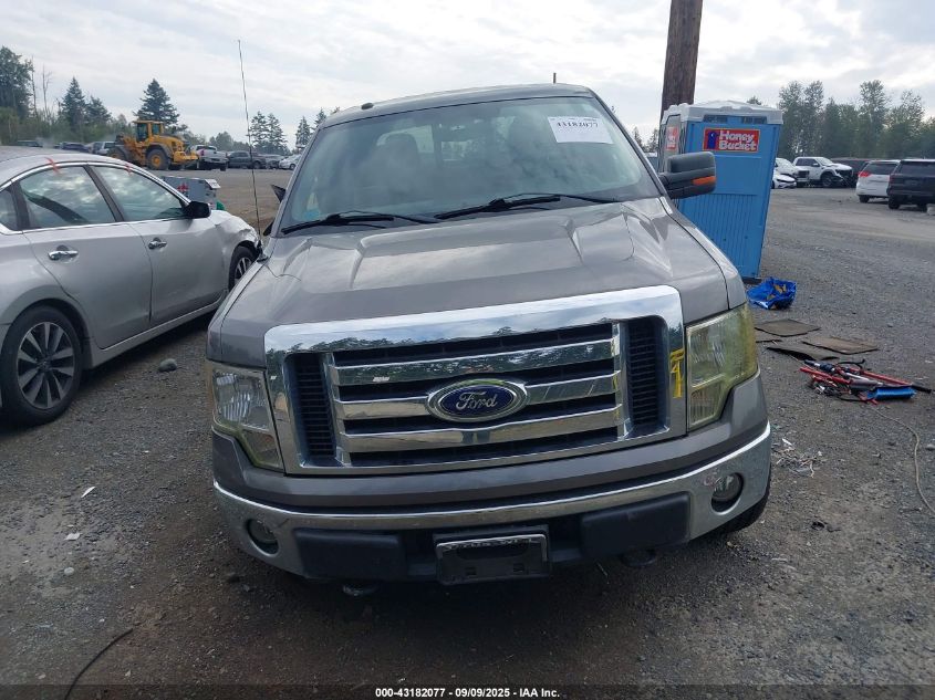 2010 Ford F150 Supercrew VIN: 1FTFW1EV2AFD44172 Lot: 43182077