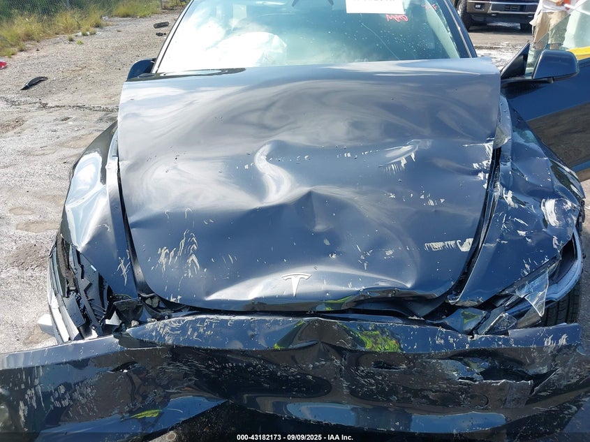 2025 Tesla Model 3 Long Range Rear-Wheel Drive VIN: 5YJ3E1EAXSF925329 Lot: 43182173