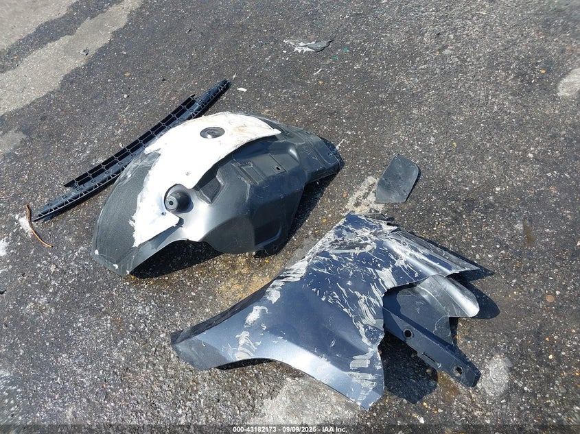 2025 Tesla Model 3 Long Range Rear-Wheel Drive VIN: 5YJ3E1EAXSF925329 Lot: 43182173