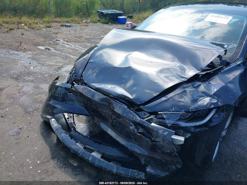 2025 Tesla Model 3 Long Range Rear-Wheel Drive VIN: 5YJ3E1EAXSF925329 Lot: 43182173