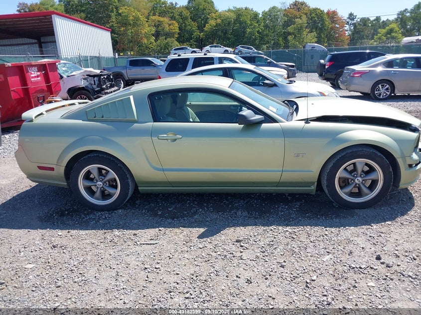 2005 Ford Mustang VIN: 1ZVFT82HX55256513 Lot: 43182399