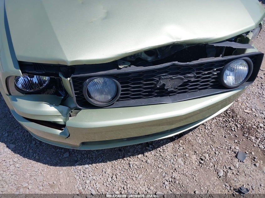 2005 Ford Mustang VIN: 1ZVFT82HX55256513 Lot: 43182399