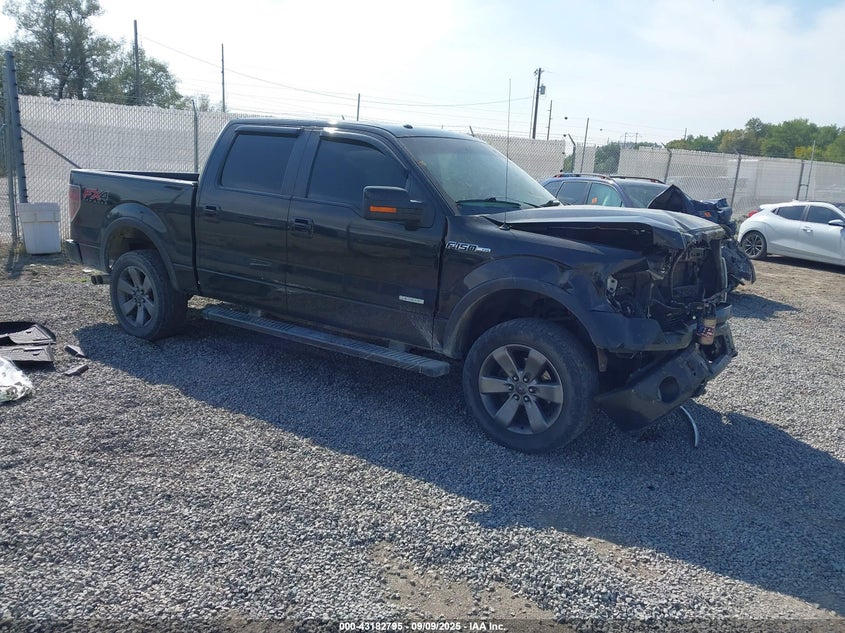 FORD F-150 FX4