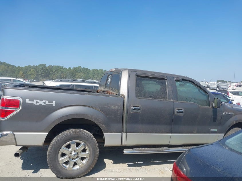 2013 FORD F-150 XLT 1FTFW1ET5DFC93463