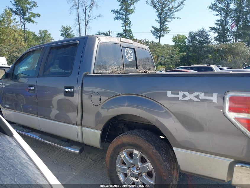 2013 FORD F-150 XLT 1FTFW1ET5DFC93463