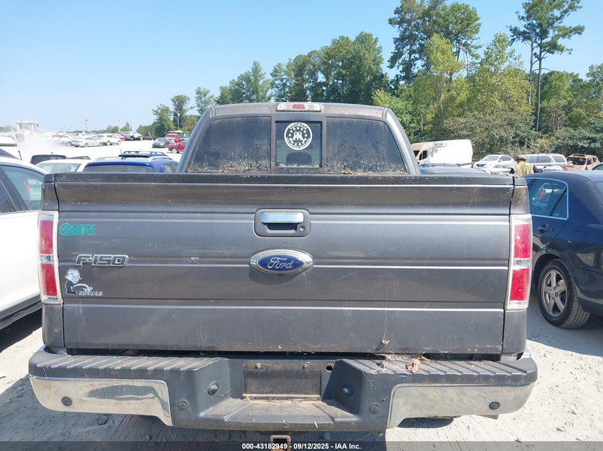 2013 FORD F-150 XLT 1FTFW1ET5DFC93463