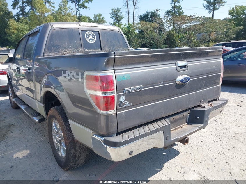 2013 FORD F-150 XLT 1FTFW1ET5DFC93463