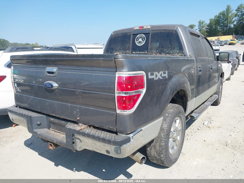 2013 FORD F-150 XLT 1FTFW1ET5DFC93463