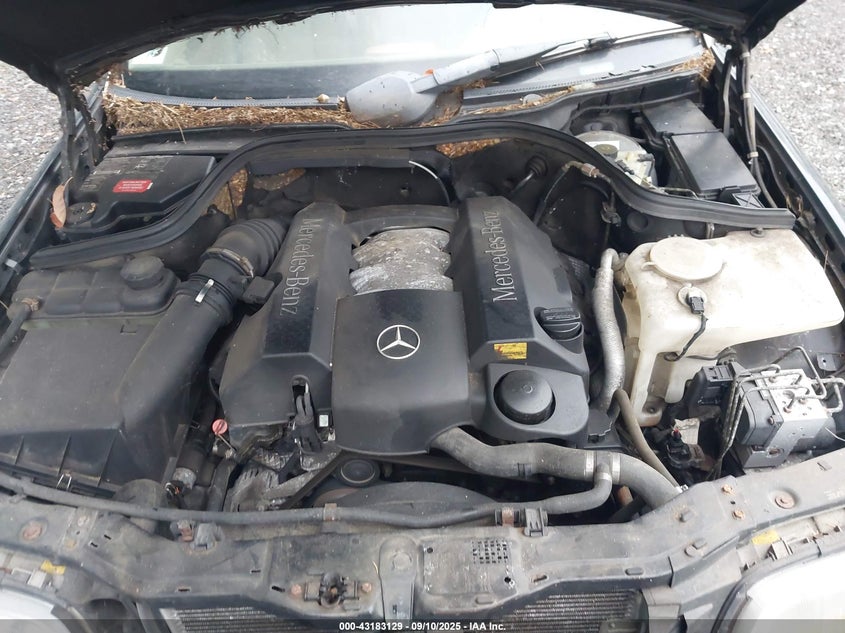 1999 Mercedes-Benz C 280 VIN: WDBHA29G6XA755085 Lot: 43183129