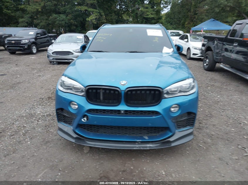 2015 BMW X5 M 5YMKT6C5XF0C89174