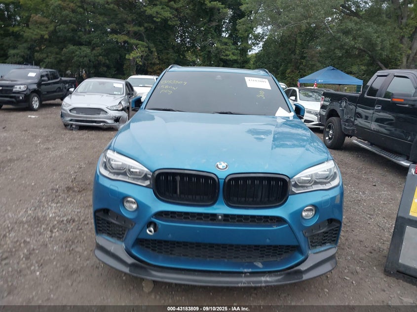 2015 BMW X5 M 5YMKT6C5XF0C89174
