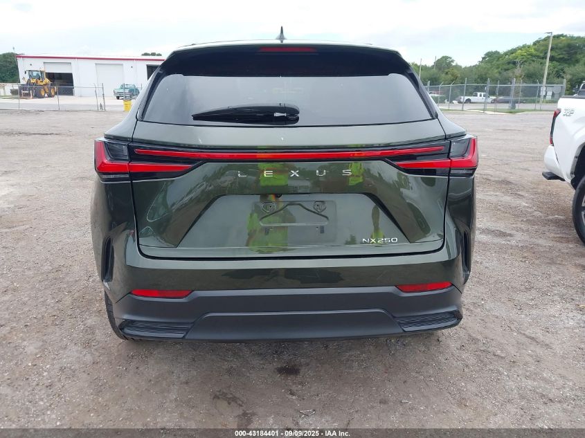 2024 Lexus Nx 250 VIN: 2T2ADCAZ6RC008738 Lot: 43184401