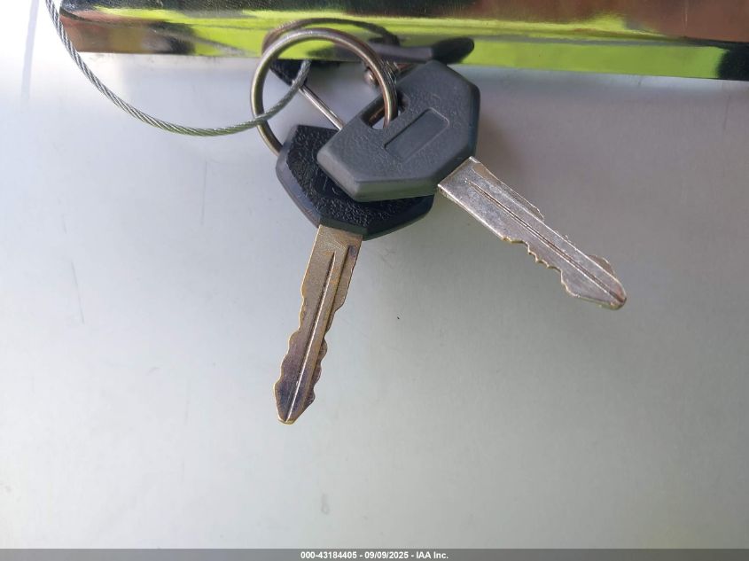 1999 Dodge Ram 1500 St VIN: 1B7HF13ZXXJ607254 Lot: 43184405