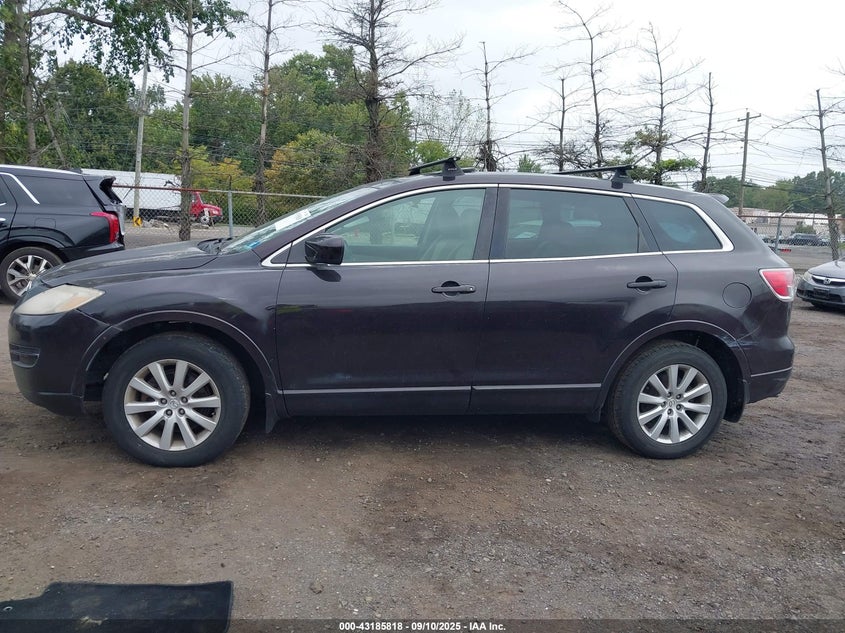 2007 Mazda Cx-9 Touring VIN: JM3TB38Y170116893 Lot: 43185818