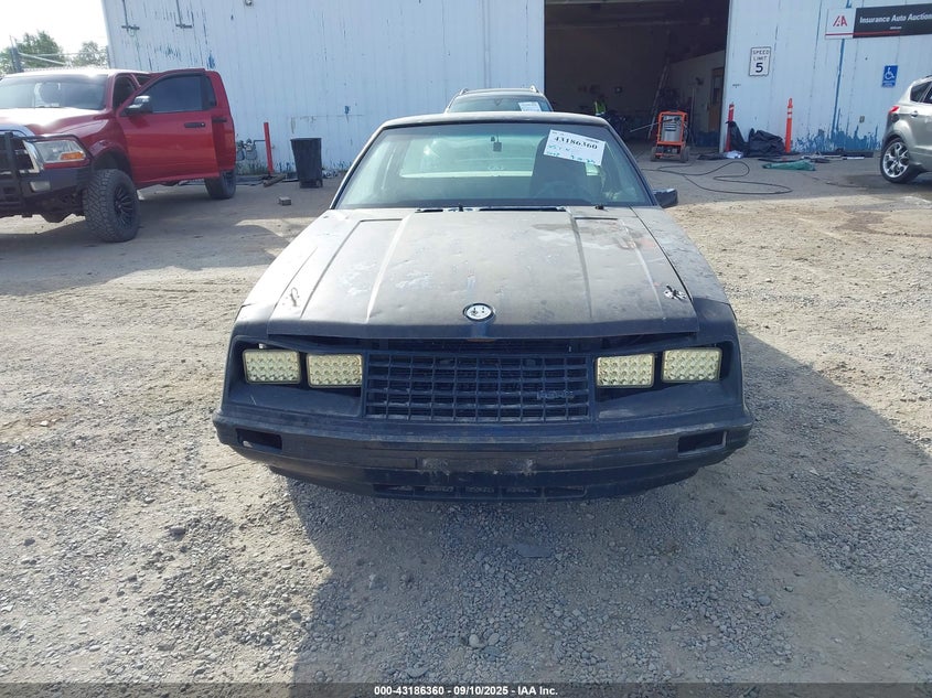 1979 Ford Mustang VIN: 9R02F143920 Lot: 43186360