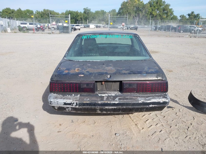 1979 Ford Mustang VIN: 9R02F143920 Lot: 43186360