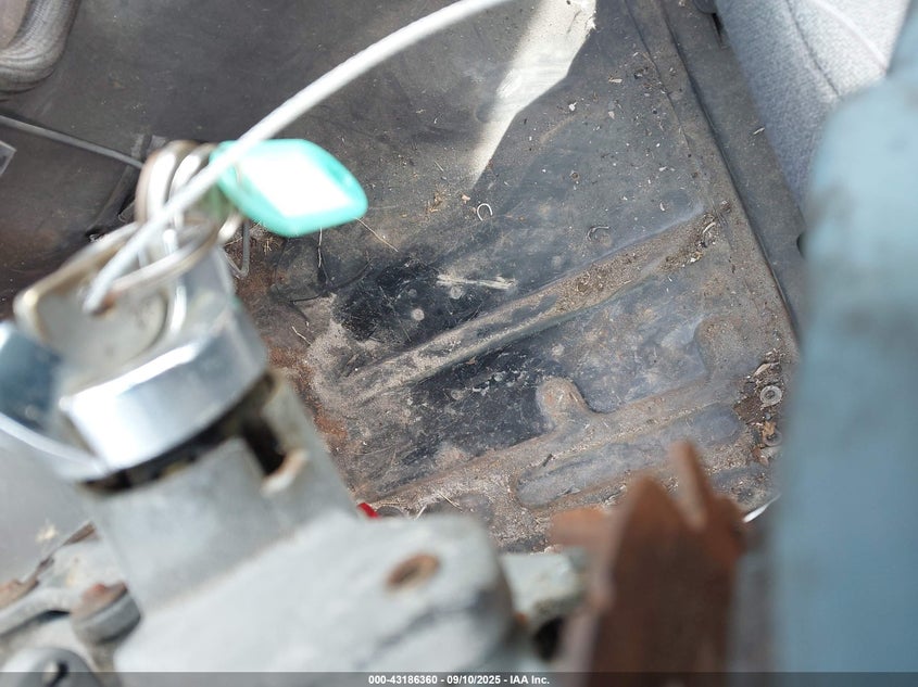 1979 Ford Mustang VIN: 9R02F143920 Lot: 43186360