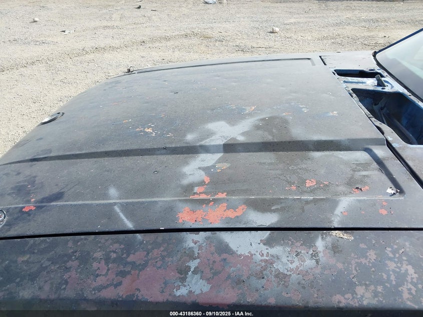 1979 Ford Mustang VIN: 9R02F143920 Lot: 43186360