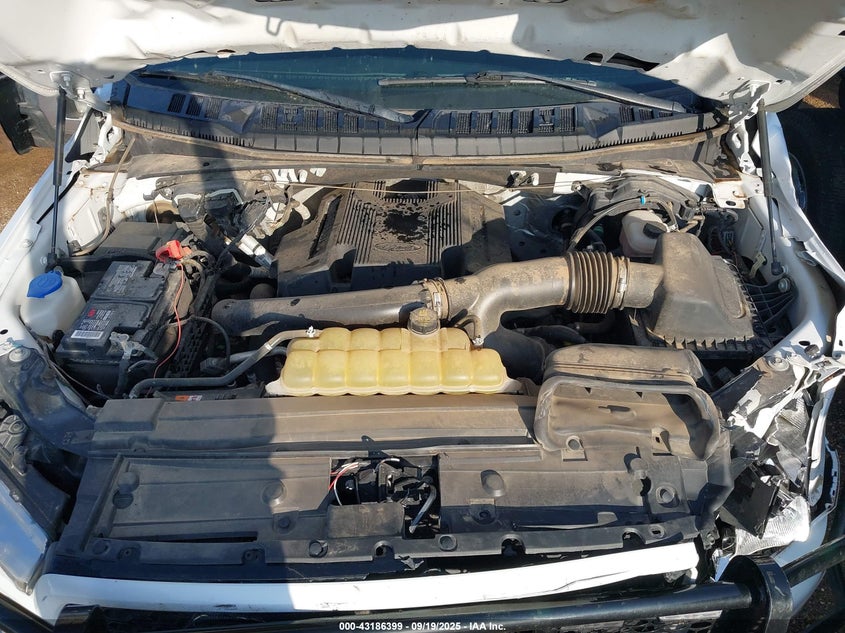 2019 Ford F-150 Xl VIN: 1FTEW1E46KKD44896 Lot: 43186399