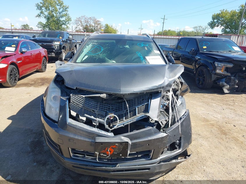 2010 Cadillac Srx Luxury Collection VIN: 3GYFNAEY5AS556874 Lot: 43186650