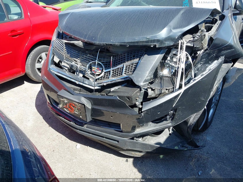 2010 Cadillac Srx Luxury Collection VIN: 3GYFNAEY5AS556874 Lot: 43186650