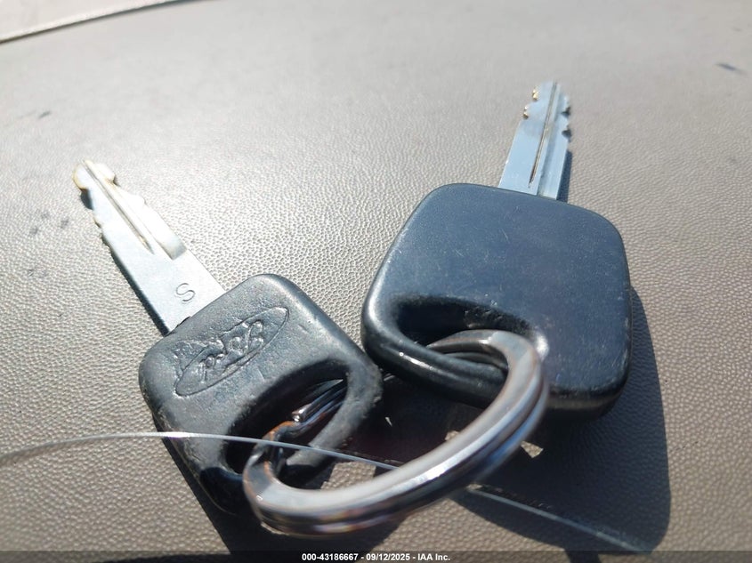 1997 Ford F-150 Standard/Xl/Xlt VIN: 1FTDF1729VKD55578 Lot: 43186667