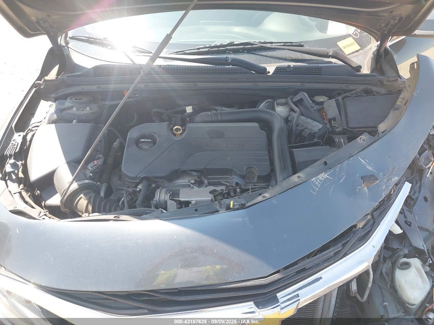 2019 Chevrolet Malibu Lt VIN: 1G1ZD5ST7KF179775 Lot: 43187625