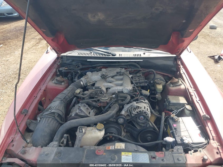 2001 Ford Mustang VIN: 1FAFP44421F128030 Lot: 43188482